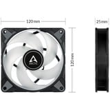 ARCTIC P12 PWM PST RGB 0dB 120x120x25, Gehäuselüfter schwarz/transparent, 120 mm