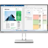 Lenovo L25e-40, LED-Monitor 62.2 cm (24.5 Zoll), grau, FullHD, VA, HDMI, VGA