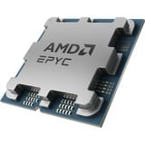 AMD EPYC™ 4465P, Prozessor Tray-Version
