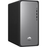 HP OmniDesk M02-0156ng, PC-System schwarz, ohne Betriebssystem
