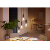 Philips Hue White Ambiance Filament Lampe E27 Giant Edison ST72 550 lm, LED-Lampe 