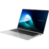 ASUS Expert Book P5 (V5405CSA-NZ0371W), Notebook silber, Intel® Core™ Ultra 5 226V, Intel® Arc™ Graphics 130V, 16 GB LPDDR5X, 512 GB (512 GB SSD), Windows 11 Home 64-Bit