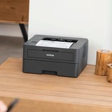 Brother HL-L2400DW, Laserdrucker dunkelgrau, USB, WLAN