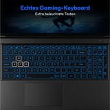 Medion Deputy P60 Core (30039216), Gaming-Notebook Intel® Core™ i9-13900H, NVIDIA GeForce RTX 4070, 16 GB DDR4, 1 TB (1 TB SSD), Windows 11 Home 64-Bit