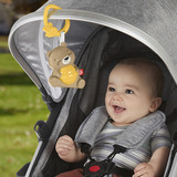 Fisher-Price Beruhigendes Bärchen Spieluhr mit einstellbarem Timer