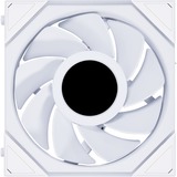 Lian Li UNI FAN TL120 LCD Reverse Blade, Gehäuselüfter weiß, 124 mm