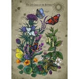 Ravensburger Puzzle - Lebenskreis Schmetterling 1000 Teile