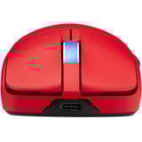 ASUS ROG Harpe II Ace, Gaming-Maus rot