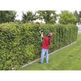 EINHELL Power X-Change Akku-Multifunktions-Werkzeug GE-HC 18Li T Kit, 18Volt, Hochentaster rot, Li-Ion-Akku 3,0Ah