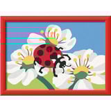 Ravensburger CreArt - Marienkäfer, Malen 