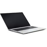 HP EliteBook 865 G9 Generalüberholt , Notebook silber, AMD Ryzen 5 PRO 6650U, AMD Radeon 680M, 16 GB DDR5, 256 GB (256 GB SSD), Windows 11 Pro