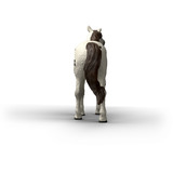 Schleich Horse Club Knabstrupper Wallach, Spielfigur 