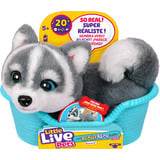 Moose Toys Little Live Pets My Really Real S2 Puppy Mini - Aurora, Kuscheltier 
