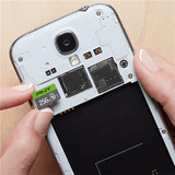PNY Elite microSD 256 GB, Speicherkarte grau/grün, Class 10, UHS-I