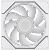 Thermaltake SWAFAN 120 EX INFINITY, Gehäuselüfter weiß, 3er-Pack, 124 mm