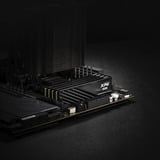 ADATA DIMM 16 GB DDR5-6000, Arbeitsspeicher schwarz, AX5U6000C3616G-SLABBK, XPG Lancer Blade, INTEL XMP, AMD EXPO