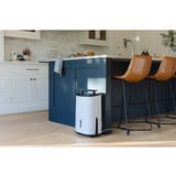 Meaco Dry Arete One 10L Kompressor-Luftentfeuchter und Luftreiniger weiß/beige, 151 Watt, für Räume bis zu 40m²