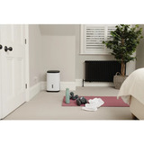 Meaco Dry Arete One 10L Kompressor-Luftentfeuchter und Luftreiniger weiß/beige, 151 Watt, für Räume bis zu 40m²