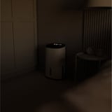 Meaco MecoDry Arete Two 12L Luftentfeuchter und Reiniger weiß/schwarz