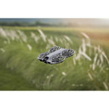 DJI Neo 2 Motion Fly More Combo, Drohne grau, 12 Megapixel, 2-Achsen-Gimbal, inkl. 3 Akkus, RC Motion 3 und Goggles