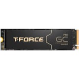 Team Group T-Force GA PRO 1 TB, SSD schwarz, PCIe 5.0 x4 | M.2 2280 | T-FORCE DARK AirFlow-Kühlkörper
