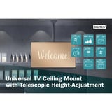 Digitus Universelle TV-Deckenhalterung mit Teleskop-Höhenverstellung schwarz, für Flat- und Curved Displays bis 177,8 mc (70")