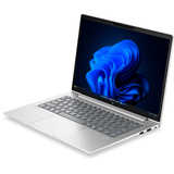 HP ProBook 4 G2a 14 AI (DL9P9ET), Notebook silber, AMD Ryzen 7 250, AMD Radeon 780M, 32 GB LPDDR5X, 1 TB (1 TB SSD), Windows 11 Pro