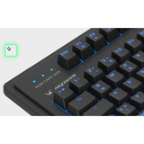 KeySonic KSK-8202ELU-T, Tastatur schwarz, US-Layout