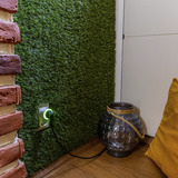 Shelly Weihnachtsbundle 2, Set 