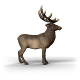 Schleich Wild Life Amerikanischer Rothirsch, Spielfigur 