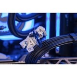 ALTERNATE Custom PC Series • iCUE Blue Madness Gaming PC, Gaming-PC schwarz/transparent, ohne Betriebssystem