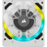 Corsair Hydro X Series XD7 RGB, Pumpe weiß, Reservoir/Pumpen Combo