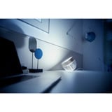 Philips HUE White & Color Ambiance Iris Tischleuchte Special Edition, LED-Leuchte silber