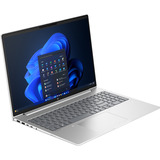 HP ProBook 4 G1i (AD2N9ET), Notebook silber, Intel® Core™ Ultra 7 255H, Intel® Arc™ 140T, 32 GB DDR5, 1 TB (1 TB SSD), Windows 11 Pro