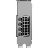 PNY NVIDIA RTX PRO 2000 Blackwell Generation 16GB PB, Grafikkarte Bulk