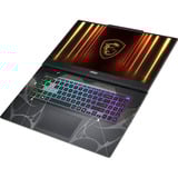 MSI Cyborg 17 B13WFKG-095, Gaming-Notebook schwarz/transparent, Intel® Core™ i7-13620H, NVIDIA GeForce RTX 5060, 16 GB DDR5, 512 GB (512 GB SSD), Windows 11 Home