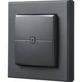 Homematic IP Wandtaster – 2-fach (HmIP-WRC2-A-2), Schalter anthrazit