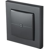 Homematic IP Wandtaster – 2-fach (HmIP-WRC2-A-2), Schalter anthrazit