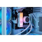 Kingston FURY DIMM 32 GB DDR5-6000 (2x 16 GB) Dual-Kit, Arbeitsspeicher weiß, KF560C36BWEAK2-32, FURY Beast RGB, INTEL XMP, AMD EXPO