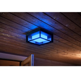 Philips HUE White & Color Ambiance Econic Outdoor quadratische Wandleuchte, LED-Leuchte schwarz