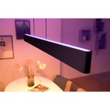 Philips HUE White & Color Ambiance Ensis Pendelleuchte, LED-Leuchte schwarz