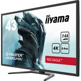 iiyama G-Master G4380UHSU-B1, Gaming-Monitor 108 cm (43 Zoll), schwarz, UltraHD/4K, AMD Free-Sync, VA, 144Hz Panel