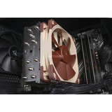 ALTERNATE Gaming-PC Special Edition • RTX 5060 • AMD Ryzen™ 5 5600 • 16 GB RAM schwarz, Windows 11 Home