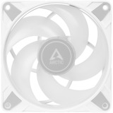 ARCTIC P12 PWM PST A-RGB 0dB 120x120x25, Gehäuselüfter weiß, 120 mm