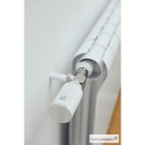 Homematic IP Smart Home Access Point (HMIP-HAP) + 2x Heizkörperthermostat EVO (HmIP-eTRV-E), Set 