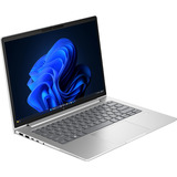 HP EliteBook 6 G2a (E02FRET), Notebook silber, AMD Ryzen 7 PRO 250, AMD Radeon 780M, 32 GB LPDDR5X, 1 TB (1 TB SSD), Windows 11 Pro