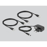 DeLOCK Delock USB 2.0 Switch f. 2 PC an 2Geräte, USB-Switch schwarz