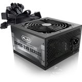 RAIJINTEK ERMIS EVO 750B, PC-Netzteil schwarz, 1x High Power GPU, 2x PCIe, 750 Watt