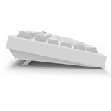 Sharkoon SKILLER SGK55W, Gaming-Tastatur weiß, DE-Layout, Sharkoon Linear