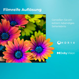 Toshiba 43UF3F63DAR, LED-Fernseher 108 cm (43 Zoll), schwarz, UltraHD/4K, Triple Tuner, HDR, Fire TV